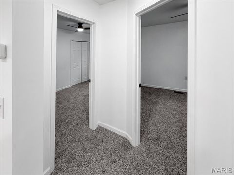 Tiny photo for 1509 Fulton Avenue, Hannibal, MO 63401 (MLS # 26018619)