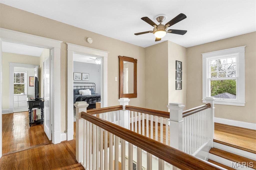 Webster Park - Residential