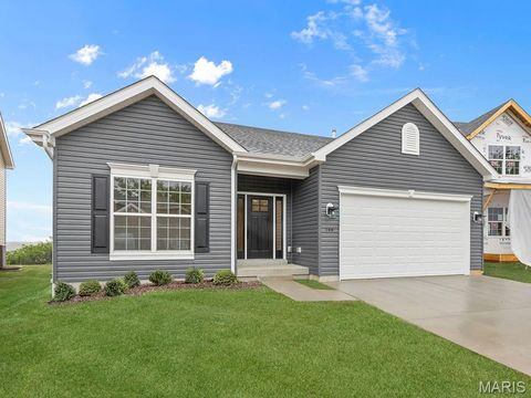 Photo of 399 Butterfly Garden Drive, Wentzville, MO 63385 (MLS # 25080033)