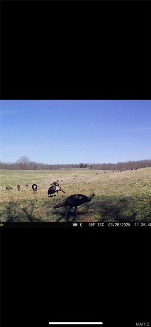 Tiny photo for 1058 Fox Run Road, Elsberry, MO 63343 (MLS # 25046874)