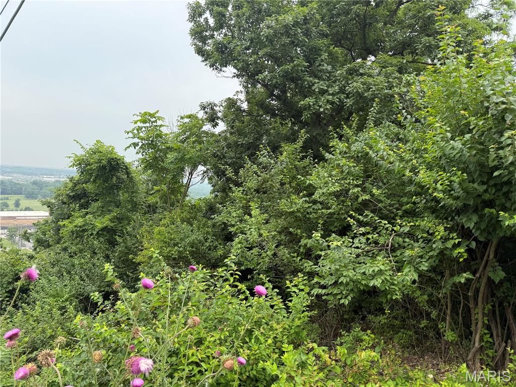 Photo of 13010 Big Bend Road, St Louis, MO 63122 (MLS # 26031658)