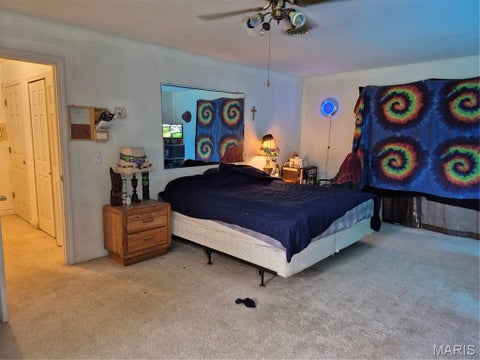 Tiny photo for 123 Apple Grove Road, Foley, MO 63347 (MLS # 26056320)