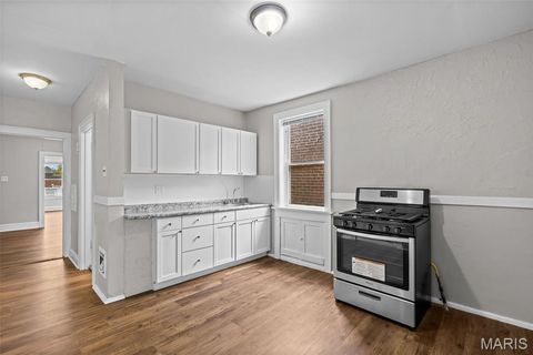 Tiny photo for 3720 Winnebago Street, St Louis, MO 63116 (MLS # 25068984)