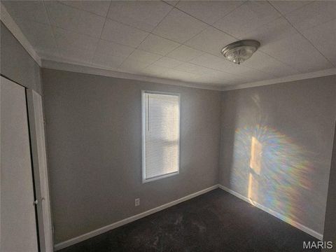 Tiny photo for 491 Adrian Drive, St Louis, MO 63137 (MLS # 26018869)