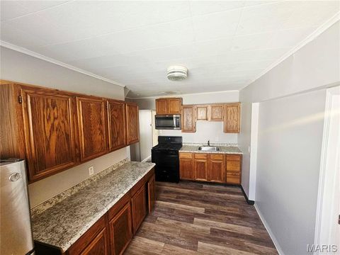 Tiny photo for 491 Adrian Drive, St Louis, MO 63137 (MLS # 26018869)