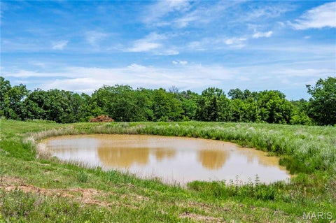 Tiny photo for 44976 Ariel Lane, Monroe City, MO 63456 (MLS # 26037394)