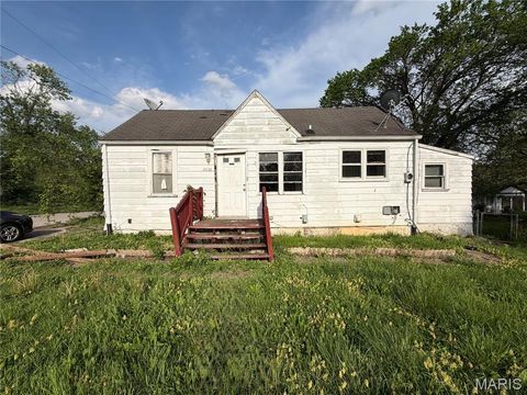 Photo of 10138 Imperial Drive, Unincorporated, MO 63136 (MLS # 26023493)