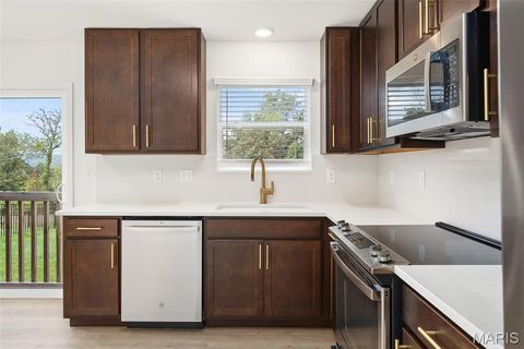 Tiny photo for 16 Integrity Court, Wentzville, MO 63385 (MLS # 26016225)