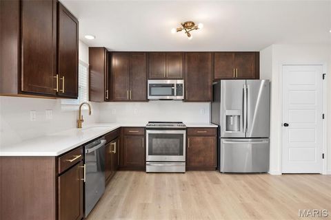 Tiny photo for 16 Integrity Court, Wentzville, MO 63385 (MLS # 26016225)