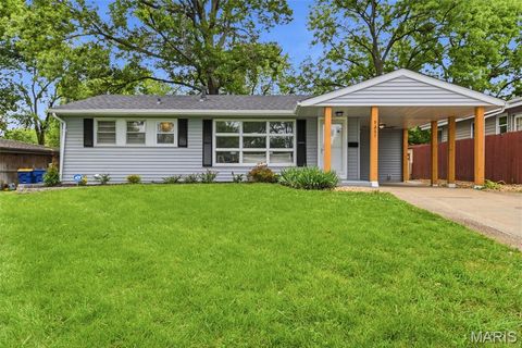 Photo of 9607 Harold Drive, St Louis, MO 63134 (MLS # 26031697)