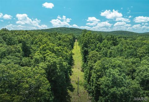 Tiny photo for 1039 Nn Highway, Ironton, MO 63650 (MLS # 26020832)