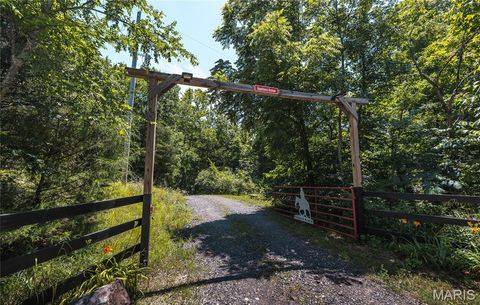 Tiny photo for 1039 Nn Highway, Ironton, MO 63650 (MLS # 26020832)