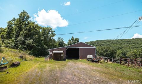 Tiny photo for 1039 Nn Highway, Ironton, MO 63650 (MLS # 26020832)