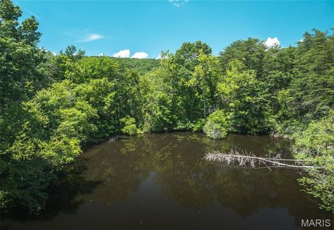 Tiny photo for 1039 Nn Highway, Ironton, MO 63650 (MLS # 26020832)