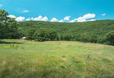 Tiny photo for 1039 Nn Highway, Ironton, MO 63650 (MLS # 26020832)