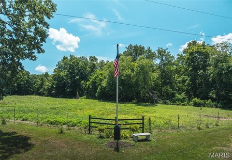 Tiny photo for 1039 Nn Highway, Ironton, MO 63650 (MLS # 26020832)