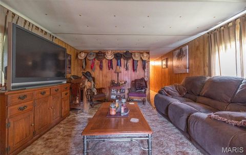Tiny photo for 1039 Nn Highway, Ironton, MO 63650 (MLS # 26020832)