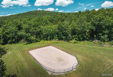 Tiny photo for 1039 Nn Highway, Ironton, MO 63650 (MLS # 26020832)