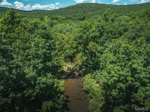 Tiny photo for 1039 Nn Highway, Ironton, MO 63650 (MLS # 26020832)