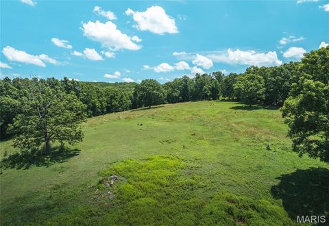 Tiny photo for 1039 Nn Highway, Ironton, MO 63650 (MLS # 26020832)