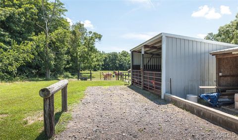 Tiny photo for 1039 Nn Highway, Ironton, MO 63650 (MLS # 26020832)