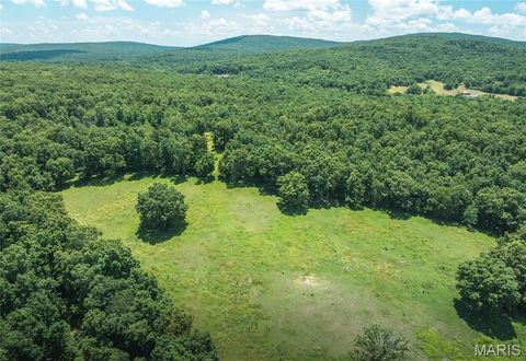 Tiny photo for 1039 Nn Highway, Ironton, MO 63650 (MLS # 26020832)