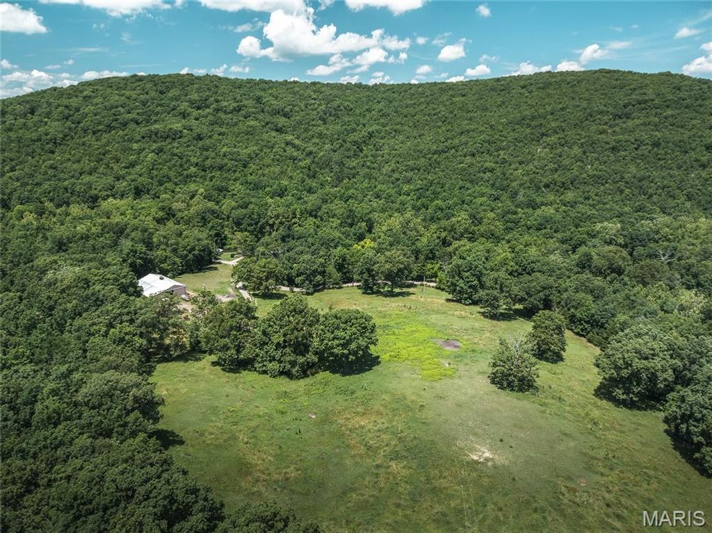 Photo of 1039 Nn Highway, Ironton, MO 63650 (MLS # 26020832)