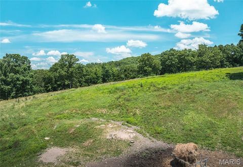 Tiny photo for 1039 Nn Highway, Ironton, MO 63650 (MLS # 26020832)