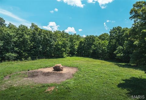 Tiny photo for 1039 Nn Highway, Ironton, MO 63650 (MLS # 26020832)