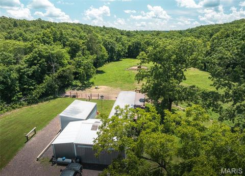 Tiny photo for 1039 Nn Highway, Ironton, MO 63650 (MLS # 26020832)