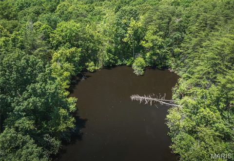 Tiny photo for 1039 Nn Highway, Ironton, MO 63650 (MLS # 26020832)