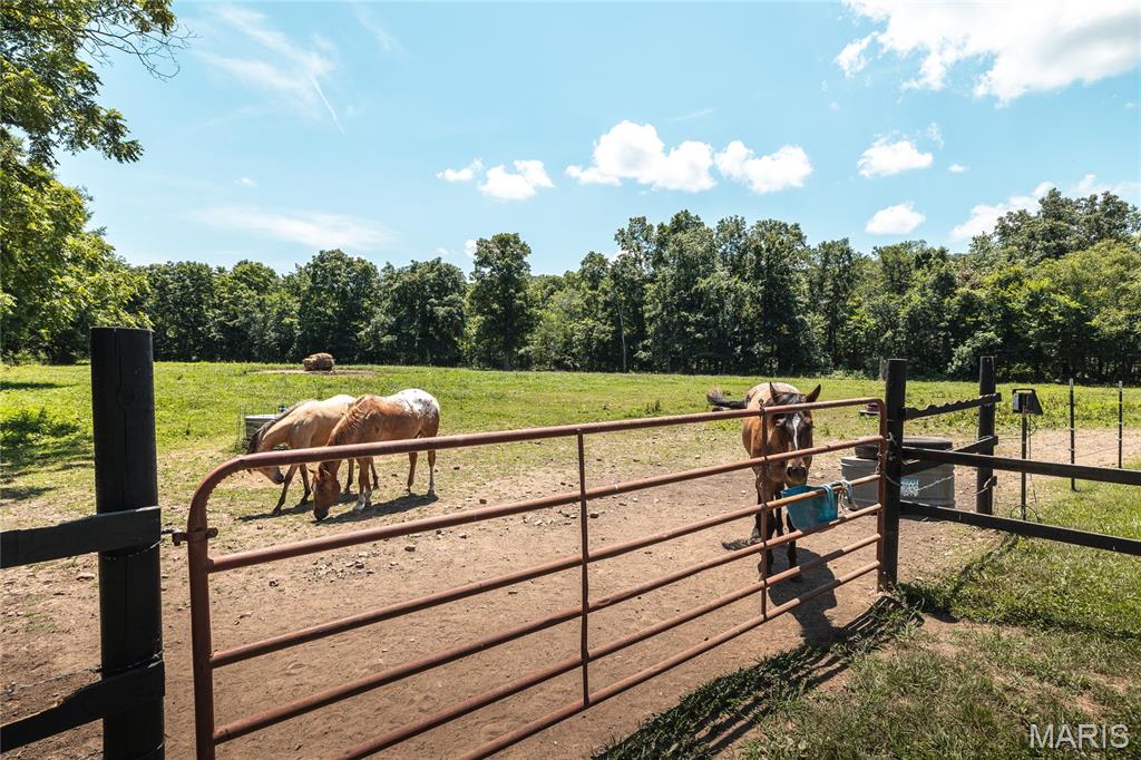 Juanita Vly - Farm