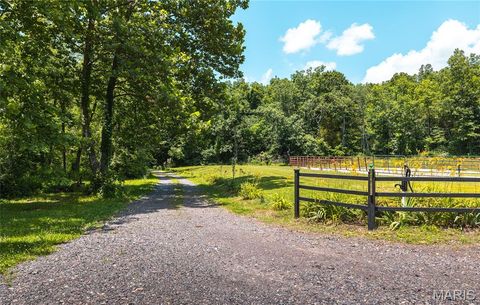 Tiny photo for 1039 Nn Highway, Ironton, MO 63650 (MLS # 26020832)