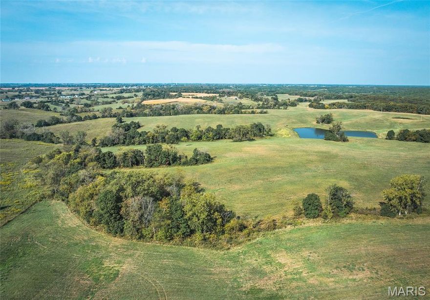 This versatile 132-acre tract offers an excellent mix of income-producing CRP , open pasture, and recreational features. 109 acres enrolled in CRP provide steady annual income totaling $12,862, while the ground is well-suited for grazing once the CRP contract expires, hay production, or future improvements. A scenic 1-acre pond adds water for livestock, wildlife, and fishing enjoyment.
The property features gravel road frontage for easy, year-round access and strong future potential for building, farming, or recreational use. With abundant wildlife habitat, open space, and income opportunities, this tract is ideal for investors, cattle operators, hunters, or anyone looking for a well-rounded piece of rural ground.
