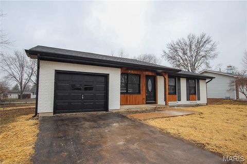 1070 Louisiana Street Sullivan MO 63080