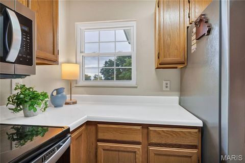 Tiny photo for 16530 Victoria Crossing Drive #I, Wildwood, MO 63040 (MLS # 25064278)
