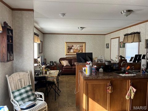 Tiny photo for 722 East Daniels St ST, Piedmont, MO 63957 (MLS # 26030169)