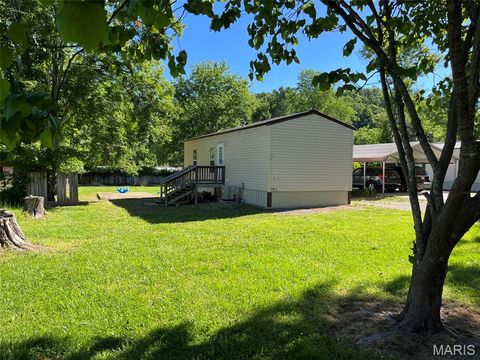 Tiny photo for 722 East Daniels St ST, Piedmont, MO 63957 (MLS # 26030169)