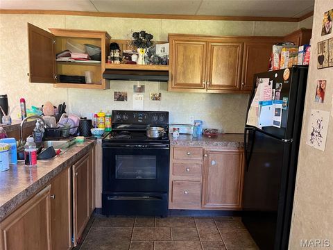 Tiny photo for 722 East Daniels St ST, Piedmont, MO 63957 (MLS # 26030169)