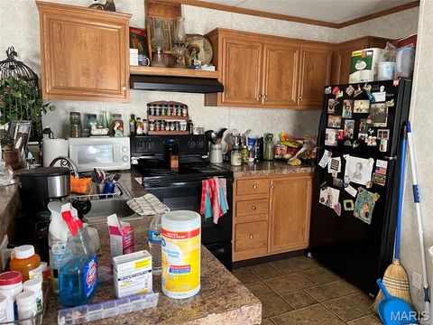 Tiny photo for 722 East Daniels St ST, Piedmont, MO 63957 (MLS # 26030169)