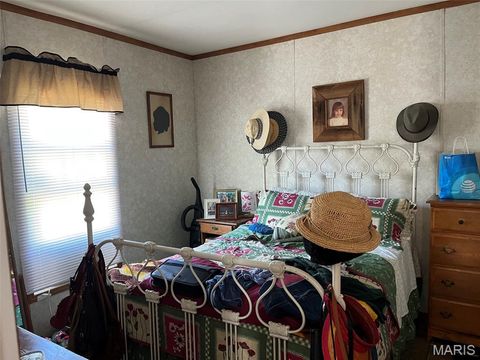 Tiny photo for 722 East Daniels St ST, Piedmont, MO 63957 (MLS # 26030169)