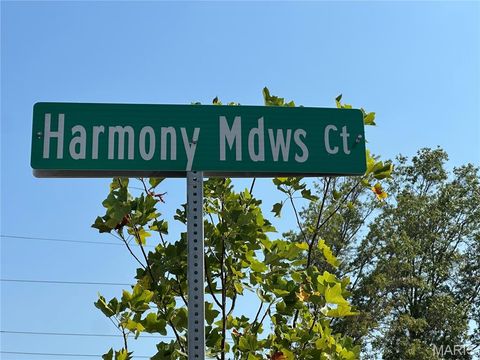 Tiny photo for 133 Harmony Meadows Court, Dardenne Prairie, MO 63368 (MLS # 26031237)