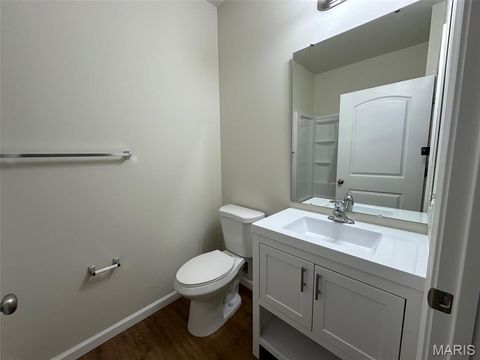 Tiny photo for 133 Harmony Meadows Court, Dardenne Prairie, MO 63368 (MLS # 26031237)