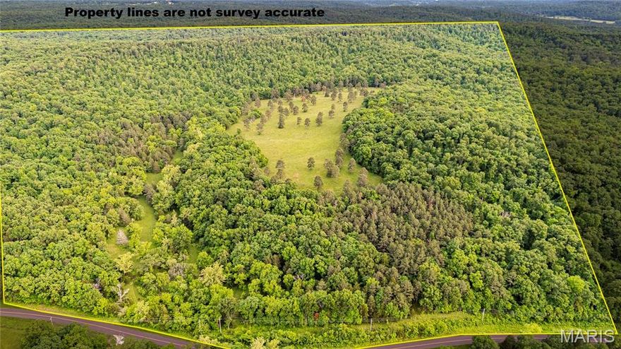 215 ACRES M/L OF WOODS AND PASTURE: Located a few miles outside of Potosi, this property hasn't been hunted for years and offers some excellent white-tailed deer hunting, along with several good building sites with awesome views. There is a wet-weather creek on the property that would help make a lake at the edge of the woods and pasture. This property has State Hwy frontage and electric available. If you've always wanted a secluded spot to build that dream home, come take a look at this one!