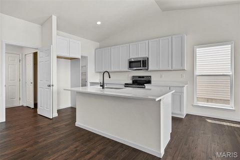 Tiny photo for 388 Butterfly Garden Lane, Wentzville, MO 63385 (MLS # 25069634)