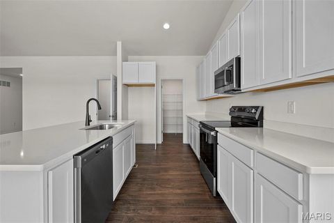 Tiny photo for 388 Butterfly Garden Lane, Wentzville, MO 63385 (MLS # 25069634)