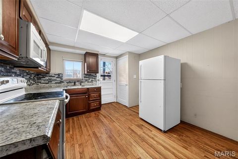 Tiny photo for 515 Loughborough Avenue, St Louis, MO 63111 (MLS # 26012546)