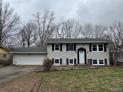 Photo of 1211 Pawnee Street, Jackson, MO 63755 (MLS # 26018703)