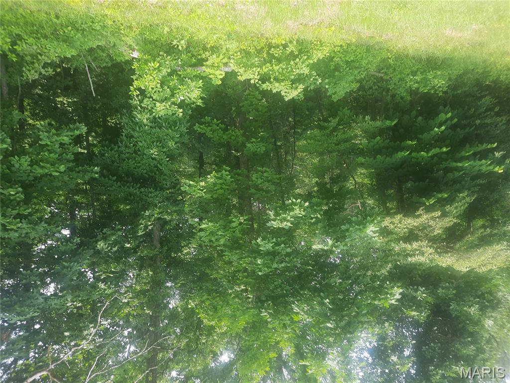 McClintocks Sub - Land