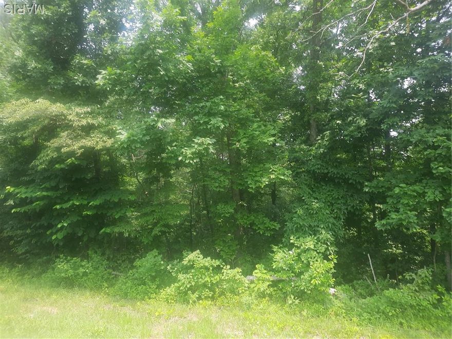 Lots are within city limits and buyer is responsible to connect to city water and sewer at the street.  Electric is at the street. Buyer must put in driveway with several options available